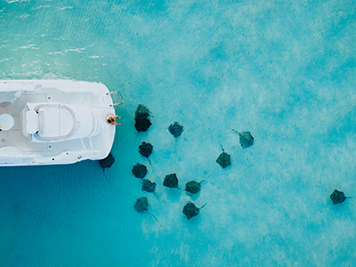 Stingray City is a shallow sandbar in Grand Cayman where you can swim with stingrays, copyright Cayman Islands Department of Tourism