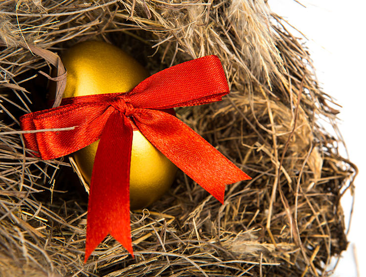 Golden Easter egg with a red ribbon in a nest made of straw, created by jannoon029, freepik.com