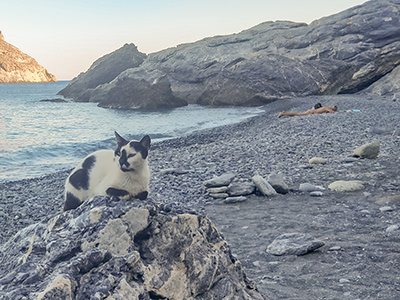 Cat and a naked man, lying down on Kambi Beach in Amorgos, one of the best nude beaches in Cyclades Islands, Greece, photo by Ivan Kralj