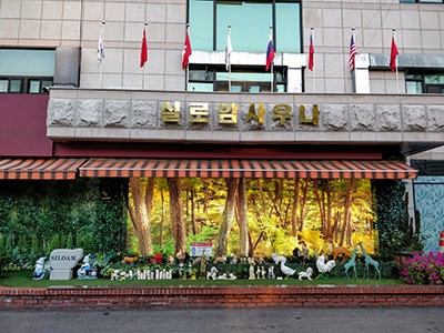 Tacky animal figures, fake plants, and forest wallpaper at the entrance of Siloam Bulgama Sauna Spa, the best jjimjilbang in Seoul, South Korea, photo by Ivan Kralj