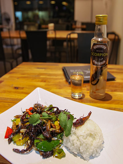 A dish with scorpios, grasshoppers, tarantula, crickets and other insects, with scorpion-infused rice spirit, served at Bugs Cafe, one of the most bizarre Siem Reap restaurants, Cambodia, photo by Ivan Kralj