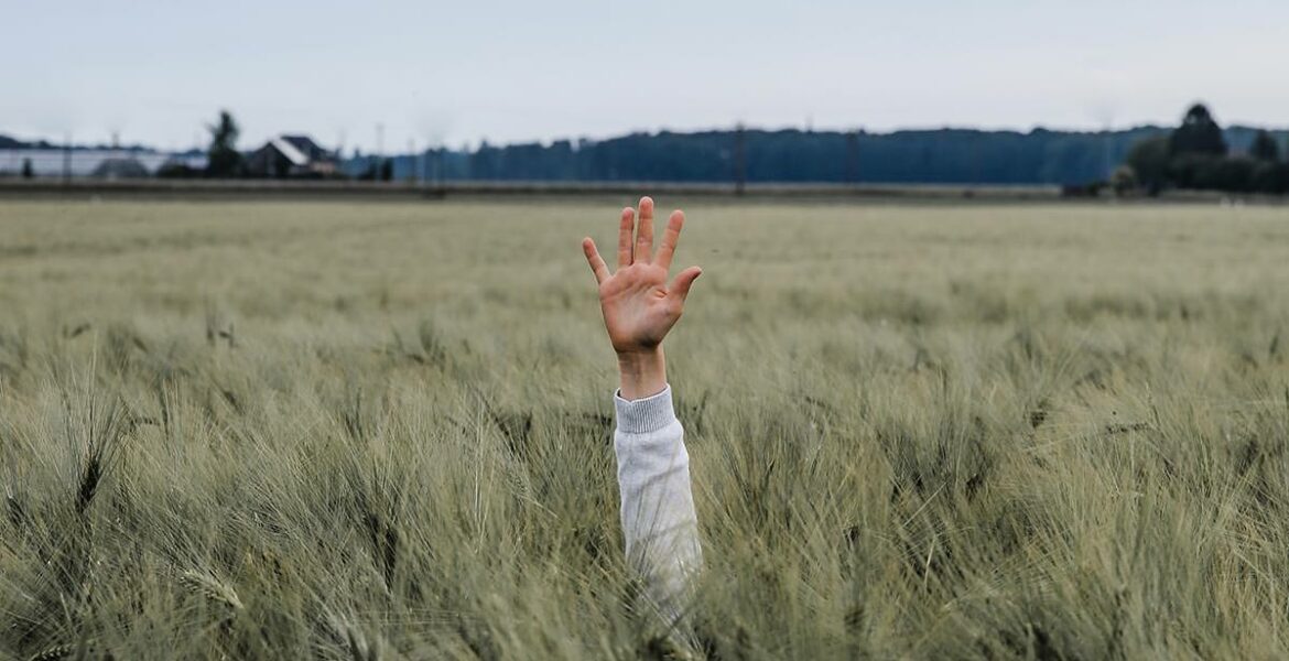 Hand sticking out of the wheat field, giving "high five", photo by Jonny Caspari, Unsplash