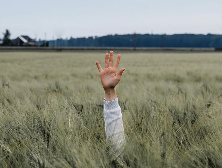 Hand sticking out of the wheat field, giving "high five", photo by Jonny Caspari, Unsplash