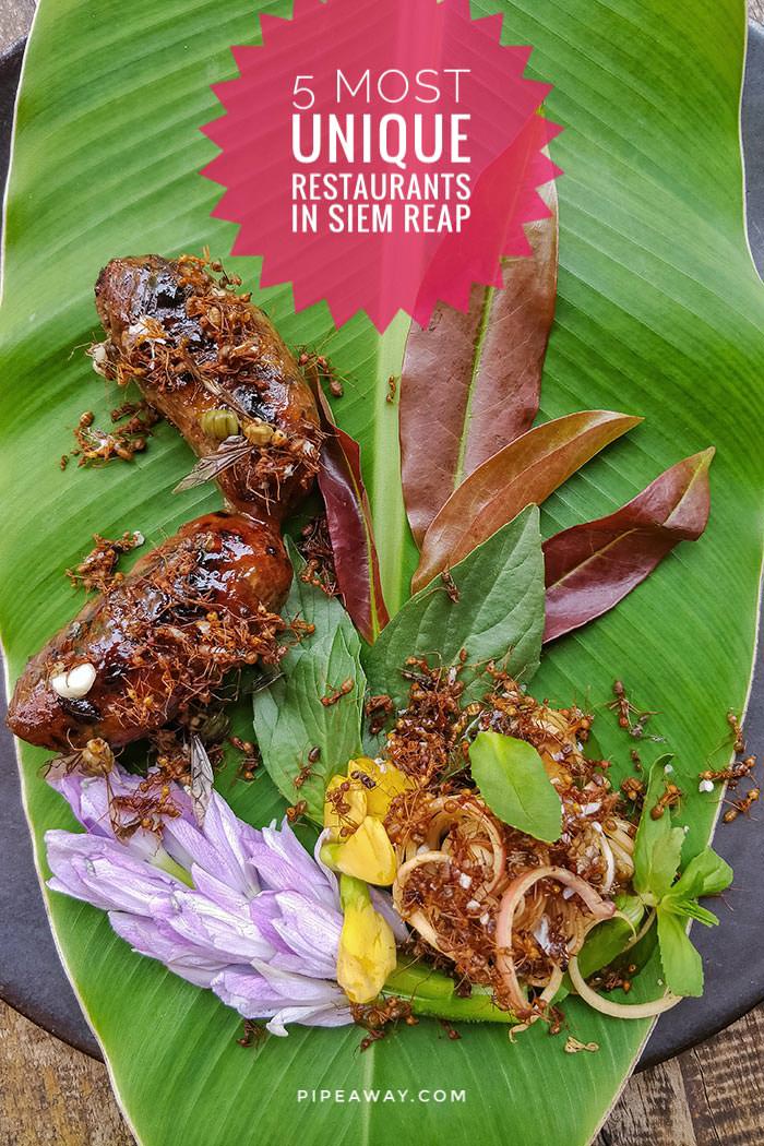 Pork sausage sprinkled with red tree ants and their eggs is just one of the most peculiar delicacies you can try in Cambodia. Pou Restaurant leads the top list of the most unique Siem Reap restaurants you should pay a visit!
