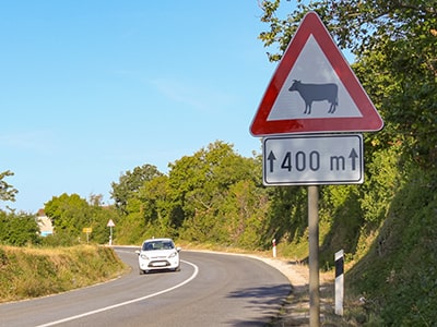 Cow crossing traffic sign at the entrance road to Kanfanar, the hometown of Jakovlja, the Istrian ox fair, photo by Ivan Kralj.