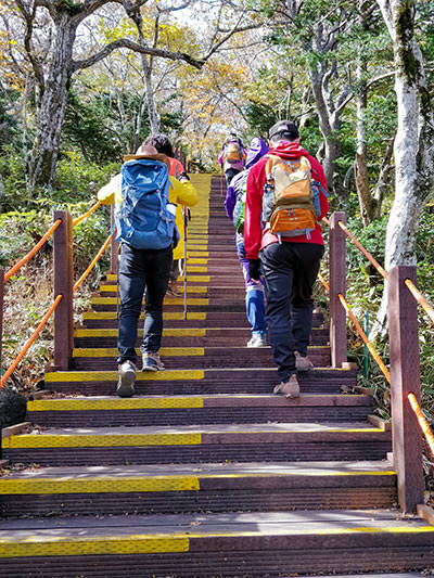 Hikers climbing stairs on Seongpanak Trail, one of the two main Hallasan hiking trails, South Korea, photo by Ivan Kralj.