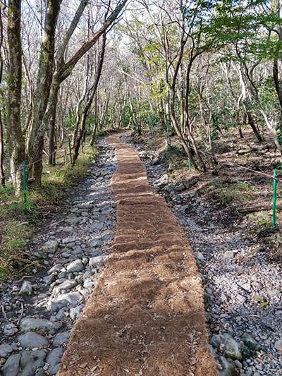 Rope-style carpet on Seongpanak Trail, one of the two main hiking trails on Hallasan Mountain, South Korea, photo by Ivan Kralj.