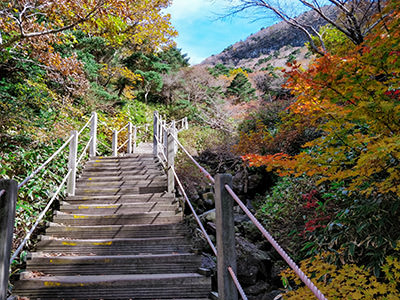 Colorful foliage on Gwaneumsa hiking trail on Hallasan Mountain, South Korea, photo by Ivan Kralj.