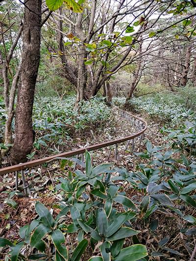 Monorail following the hiking trails on Hallasan Mountain, used for evacuation of injured hikers on the highest mountain of South Korea, photo by Ivan Kralj.