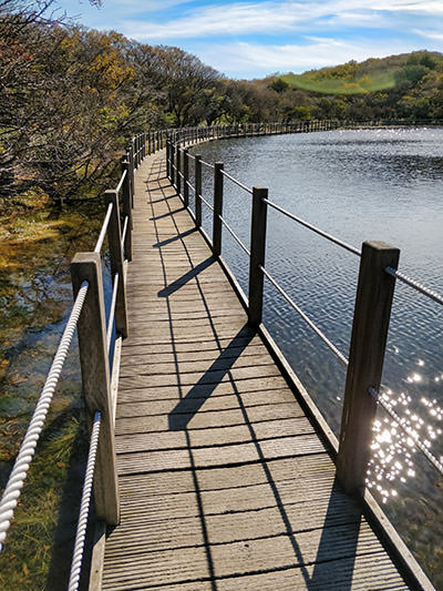 Boarwalk on the edge of Sara Oreum's Lake of Heaven, a crater lake on Hallasan Mountain, South Korea, photo by Ivan Kralj.