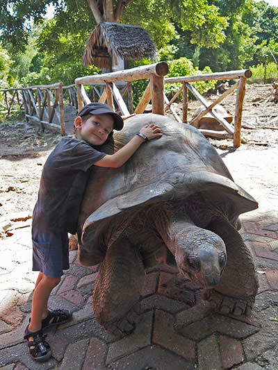 Laurent, a Canadian 5-year-old losing his eyesight, posing next to a gigantic turtle on his family's world trip to fill his visual memory before going blind, photo by Edith Lemay