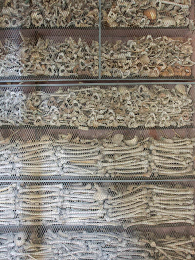 Shelves full of human bones, sorted by type, on the wall of Ossuary of Solferino in Lombardy, Italy, photo by Ivan Kralj.