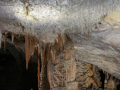 Spaghetti Hall in Postojna Cave, thin stalactites on the roof of the cavern resembling white noodles, photo by Ivan Kralj.
