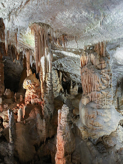 Stalactites, stalagmites and columns in Postojna Cave, Slovenia, photo by Ivan Kralj.