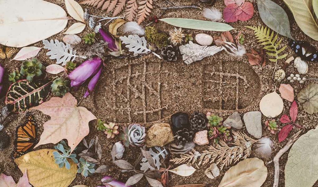 Footprint in soil, surrounded by leaves and flowers, representing the concept of carbon footprint; photo by Evie S., Unsplash.