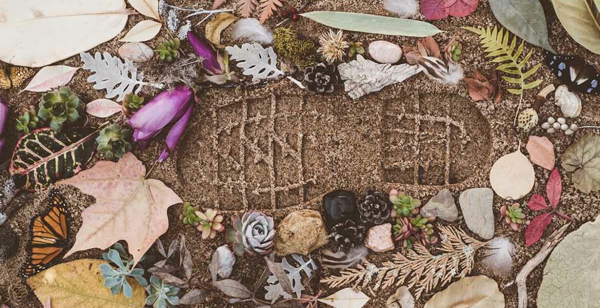 Footprint in soil, surrounded by leaves and flowers, representing the concept of carbon footprint; photo by Evie S., Unsplash.