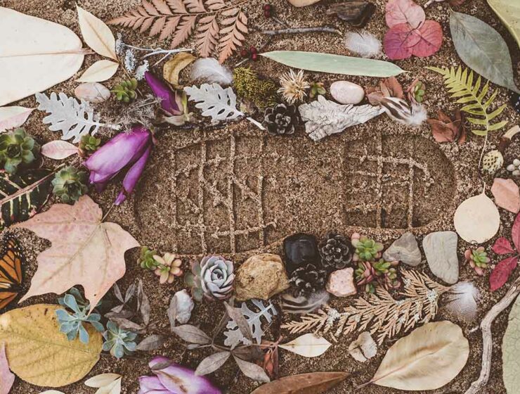 Footprint in soil, surrounded by leaves and flowers, representing the concept of carbon footprint; photo by Evie S., Unsplash.