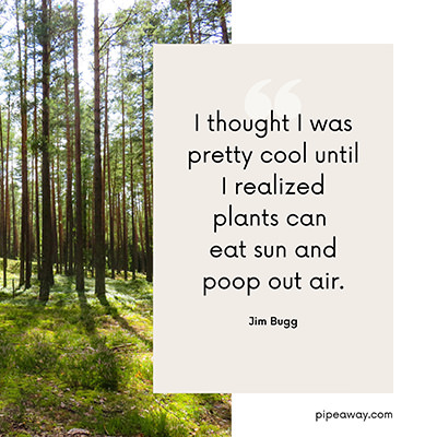 Earth Day quote by Jim Bugg: “I thought I was pretty cool until I realized plants can eat sun and poop out air.” 