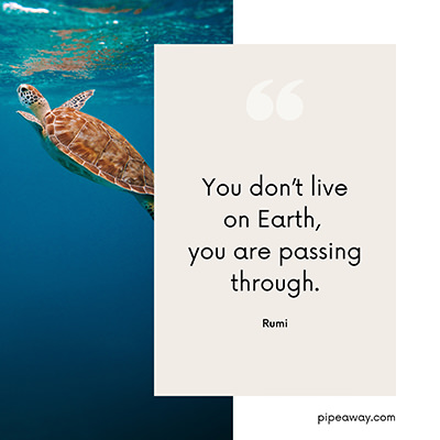 Earth Day quote by Rumi: “You don’t live on Earth, you are passing through.”