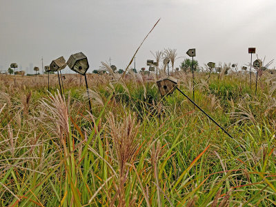 Birdhouses in the field at Haneul Sky Park in Seoul, South Korea; photo by Ivan Kralj.