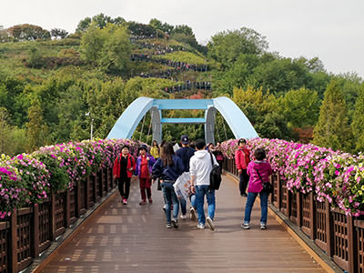 Flower-decorated bridge leading to zig-zag wooden staircase of Haneul Sky Park in Seoul; photo by Ivan Kralj.