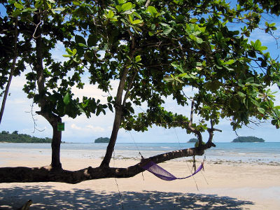 A tree with a hammock on Kai Bae Beach in Thailand; photo by Vasilisvg.