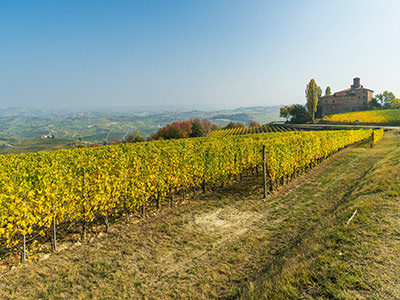 Marchesi di Barolo vineyard belonging to the namesake winery, one of the top 3 in Italy; photo by Sebastian, Unsplash.