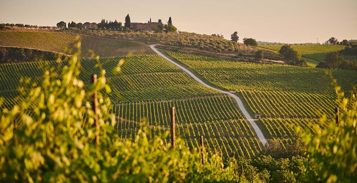 Vineyard landscape in Tuscany, home of some of the best Italian wines; photo by Johny Goerend, Unsplash.
