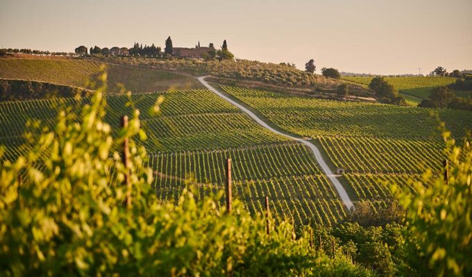 Vineyard landscape in Tuscany, home of some of the best Italian wines; photo by Johny Goerend, Unsplash.