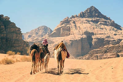 Camels in Wadi Rum desert during the Star Wars tour of the filming location of the trilogy; photo by Viator.