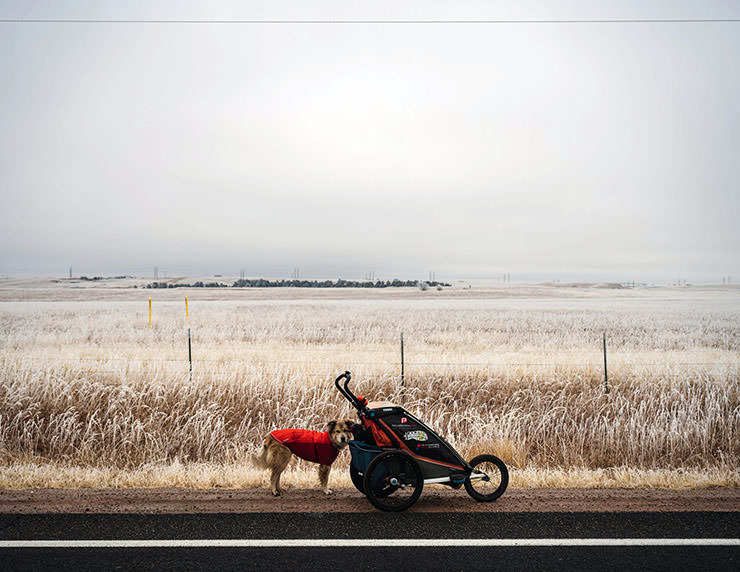 Savannah, the dog, standing by the trolley on the side of the road, with winterish landscape behind them, during the walk around the world; photo by Tom Turcich.