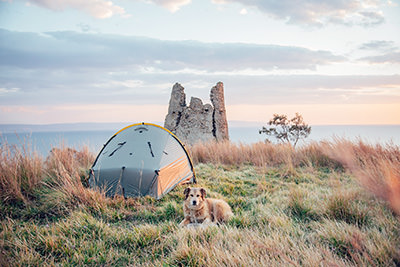 Dog Savannah guarding the tent in Italy, during the World Walk with her owner Tom Turcich.