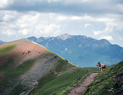 Savannah, the dog, in Kyrgistan mountains, during the World Walk; photo by Tom Turcich.