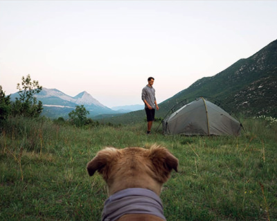 The backside of Savannah the dog, while she is looking at her owner Tom Turcich setting up the tent in the wild, during their walk around the world.