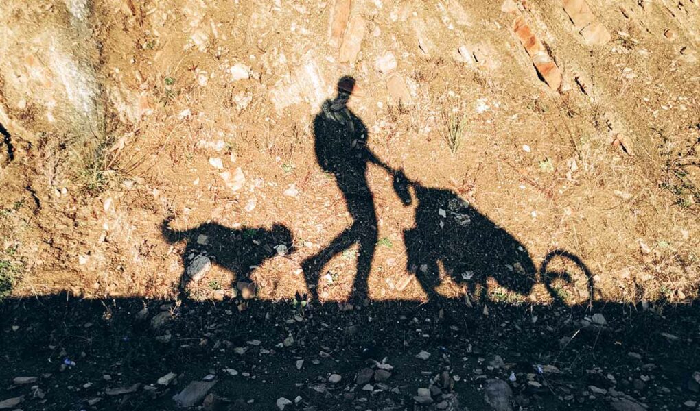 The shadows of the adventurer Tom Turcich passing by, with his trolley and dog Savannah, on their walk around the world.