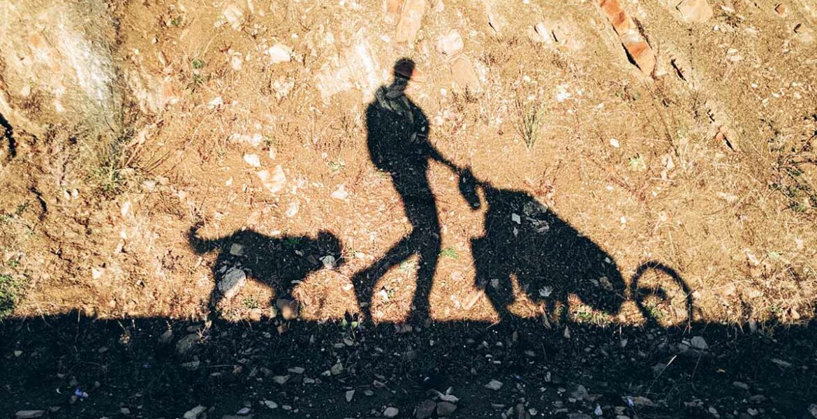 The shadows of the adventurer Tom Turcich passing by, with his trolley and dog Savannah, on their walk around the world.