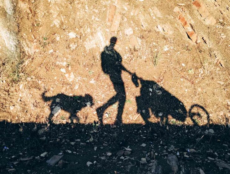 The shadows of the adventurer Tom Turcich passing by, with his trolley and dog Savannah, on their walk around the world.