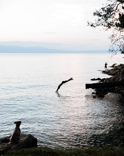 Tom Turcich jumping into the sea with his dog Savannah observing from the beach, during their World Walk.