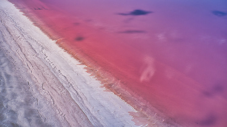 Burlinskoye Ozero, a pink lake in Siberia, Russia; photo by Artem Zykin, Pexels.