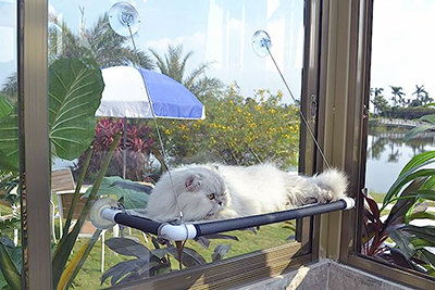 Cat hammock, attachable on any window, a must-have product for feline pets this summer, by Pefuny, on Amazon.