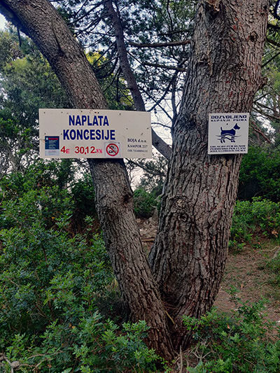 Signs nailed directly on the pine trees at FKK Kandarola Beach on Rab Island, Croatia, declaring the concession charge amount of 4 euros, and that dogs are allowed; photo by Ivan Kralj.