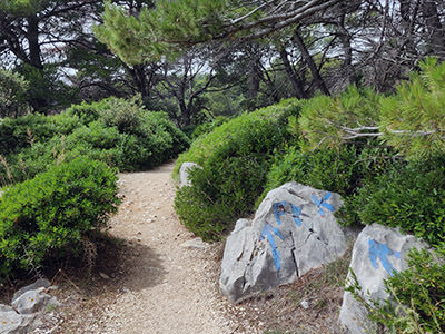 Footpath amidst the bush toward Kandarola naturist beach on Rab, Croatia, marked by the blue 'FKK' graffiti on the rock; photo by Ivan Kralj.