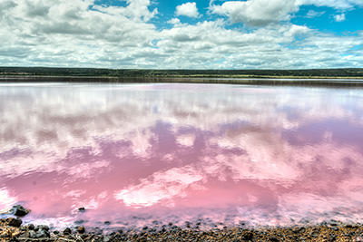 Hutt Lagoon, one of the many pink lakes in Australia; photo by Node Worx.