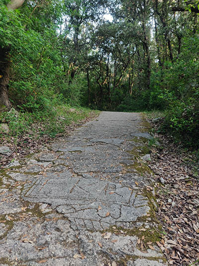 The carving of a penis in concrete path leading to FKK Kandarola Beach on Rab Island, Croatia; photo by Ivan Kralj.