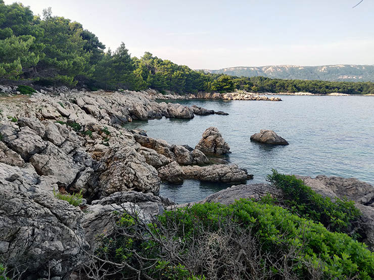 Nudist zone of Kandarola Bay on Rab Island, Croatia, shaded by ancient pine forest; photo by Ivan Kralj.