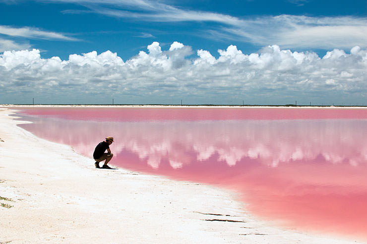 Laguna Rosa in Las Coloradas, Yucatan, Mexico, one of the pink lakes in the world; photo by Walter Rodriguez.