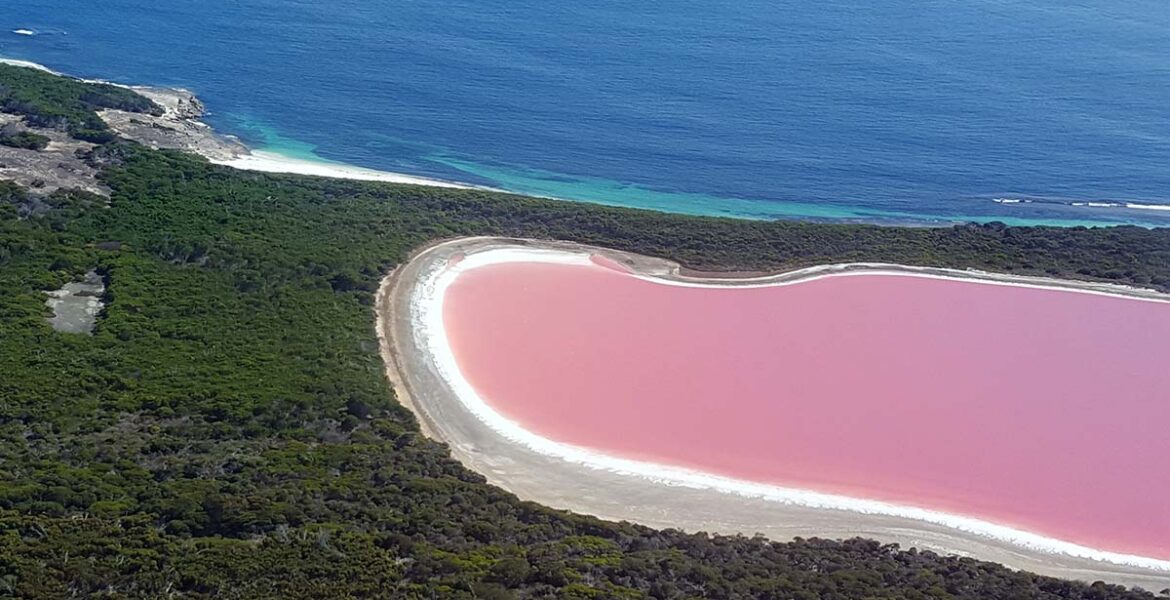 Lake Hillier on the Middle Island in Western Australia, one of the most famous pink lakes in the world; photo by Yodaobione.
