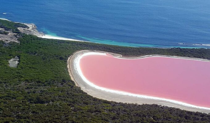 Lake Hillier on the Middle Island in Western Australia, one of the most famous pink lakes in the world; photo by Yodaobione.