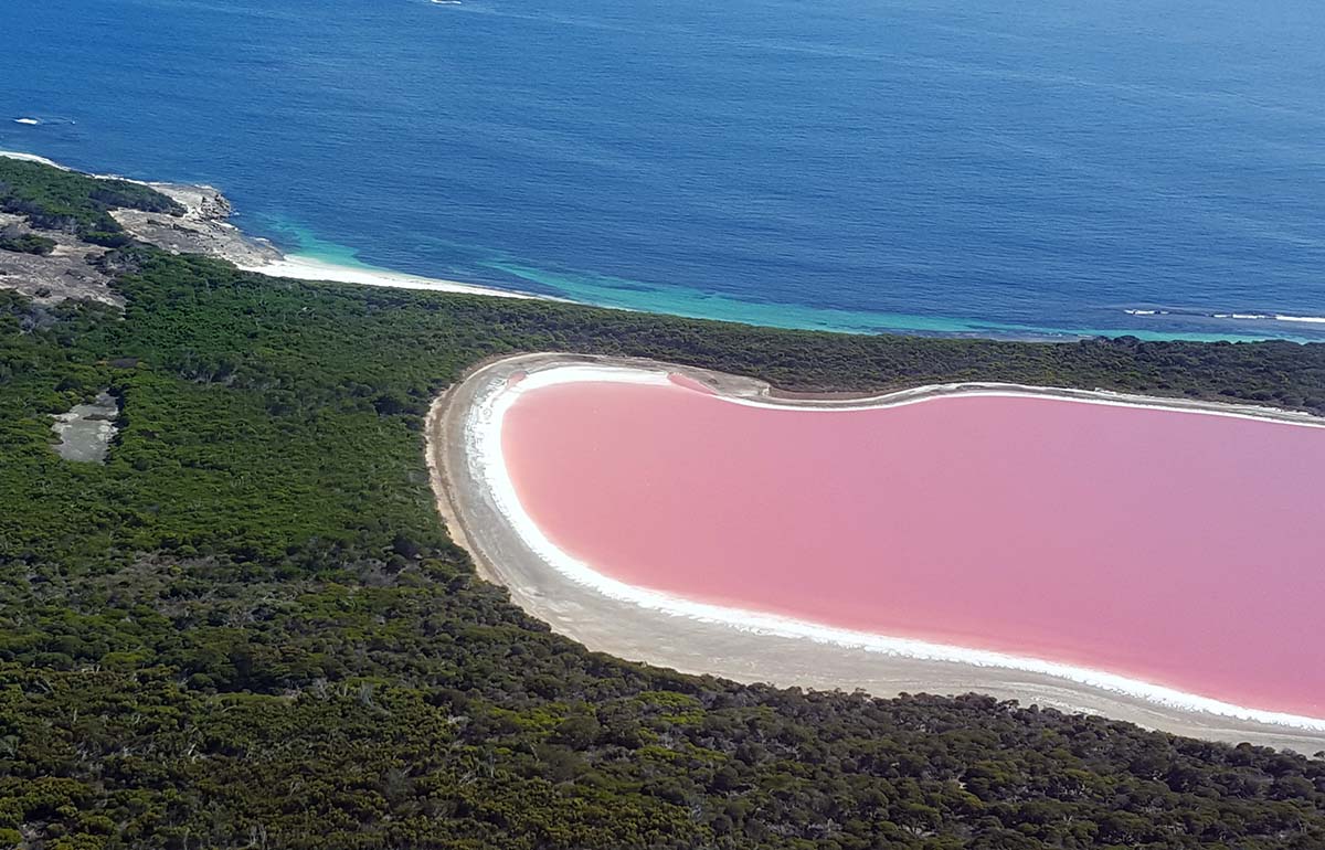 12 Best Pink Lakes in the World · Pipeaway