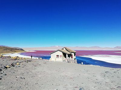Pink lake lookout at Laguna Colorada in Bolivia, house on the shores of the pink-purple colored lake; photo by Atobit.